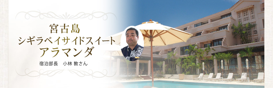 �{�Ó� �V�M���x�C�T�C�h�X�C�[�g�A���}���_ �h�������@���� �ւ���