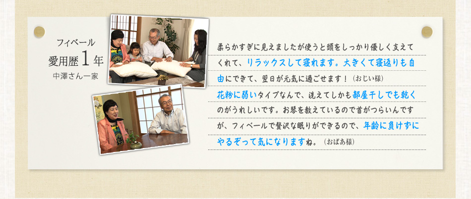 �t�B�x�[�����p��1�N ���V������