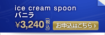 ice cream spoon/�A�C�X�N���[�� �X�v�[���@�o�j��