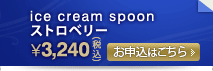 ice cream spoon/�A�C�X�N���[�� �X�v�[���@�X�g���x���[