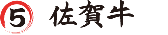 5.ꋍ