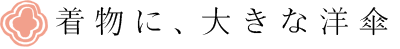 ɂ͑傫ȗmP