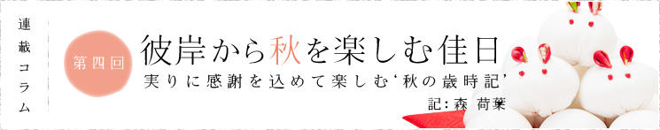 AڃRl@ފ݂Hyމ Ɋӂ߂ĊyޏH̍ΎL
