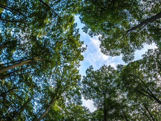 水谷 伸吉さんイメージ