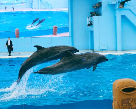 細井 里紗さんイメージ