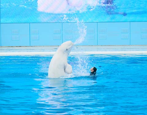 細井 里紗さんイメージ