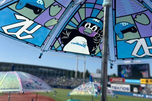 野原 未蘭さんイメージ