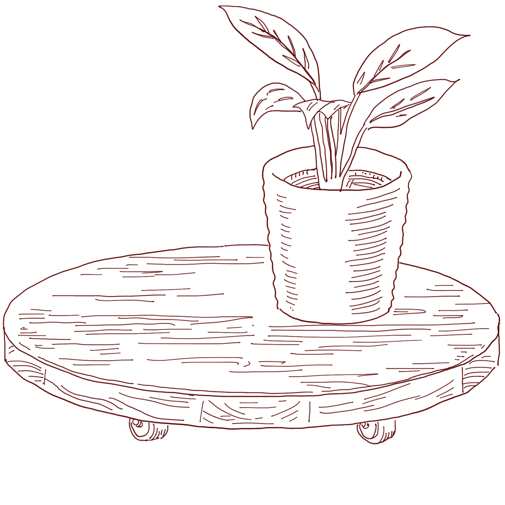 佐々木 新子さん