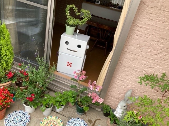 部屋づくりの相棒と